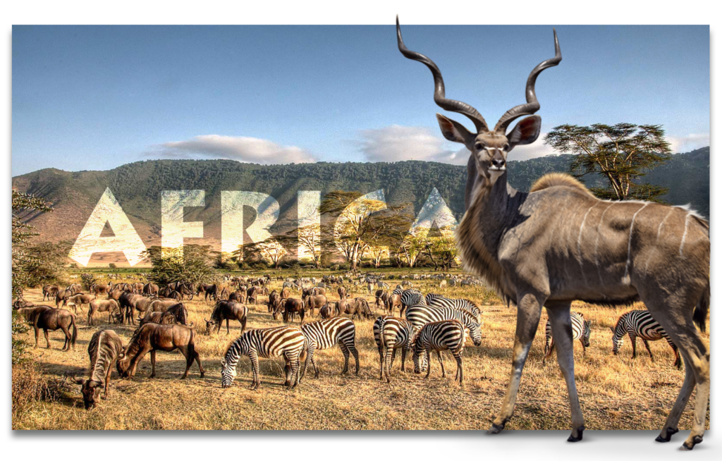 AFRICA HUNTS | Riata Worldwide Hunting & Fishing